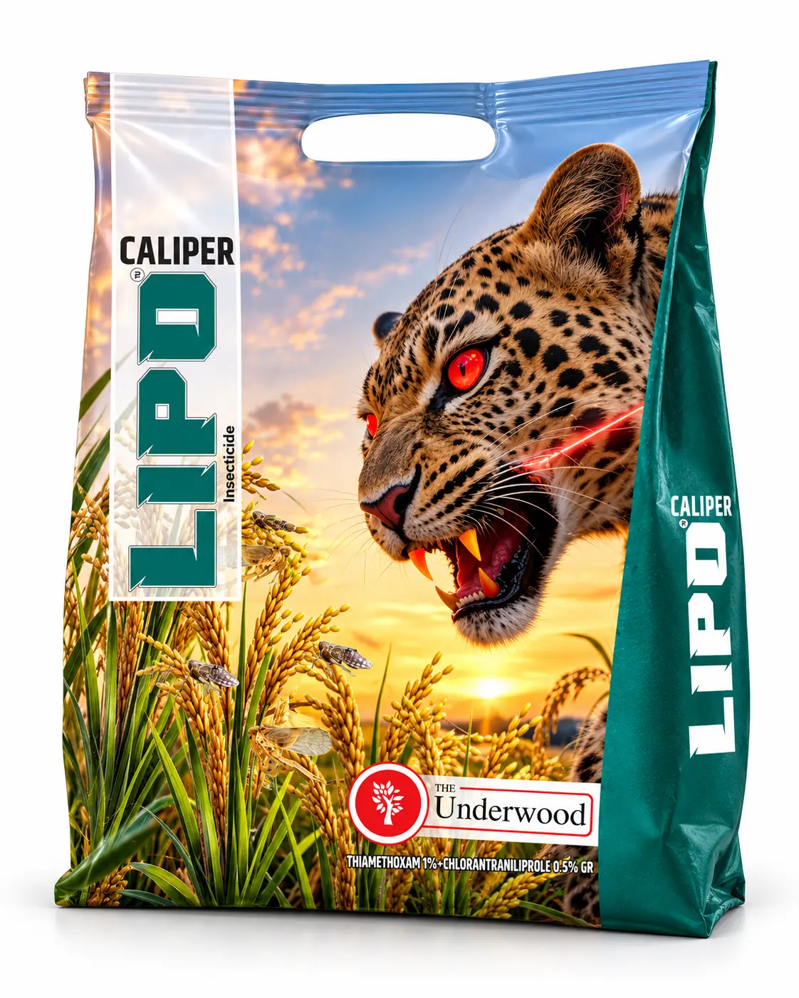 CALIPER GR