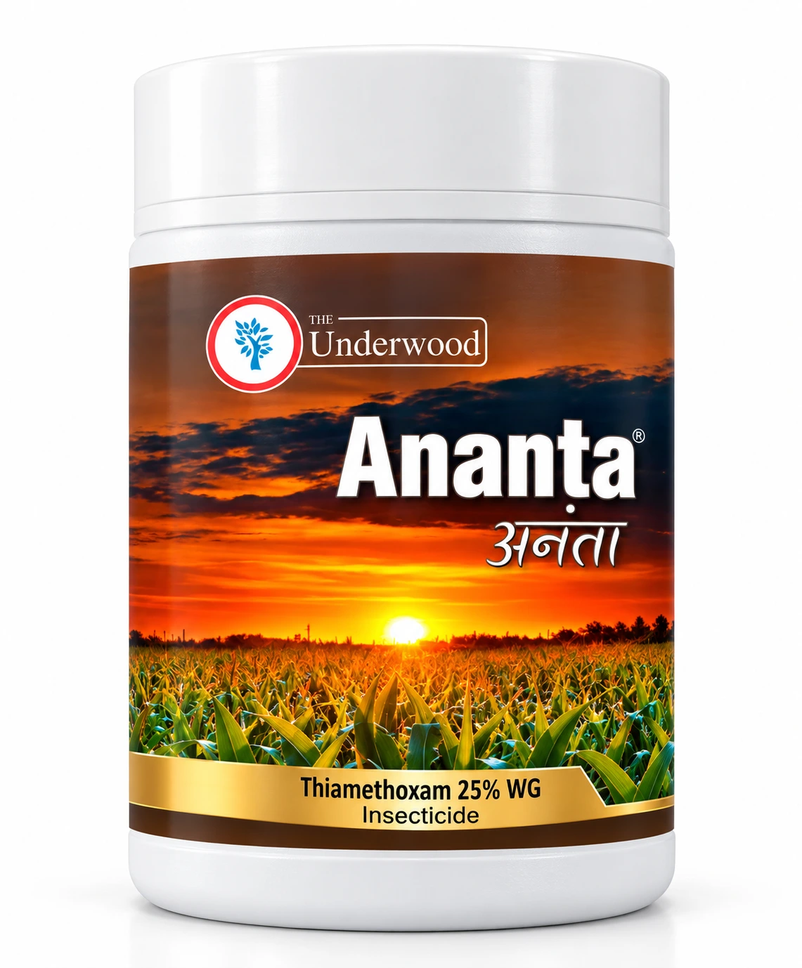 Ananta-WG